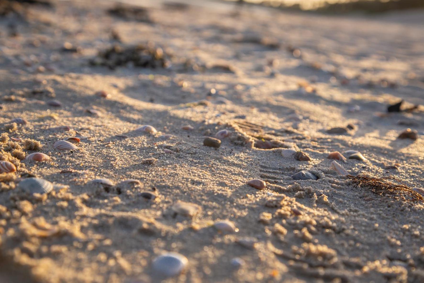 Wohnen Am Suedstrand - Ferienwohnung 1 1 Wyk auf Föhr Exteriör bild